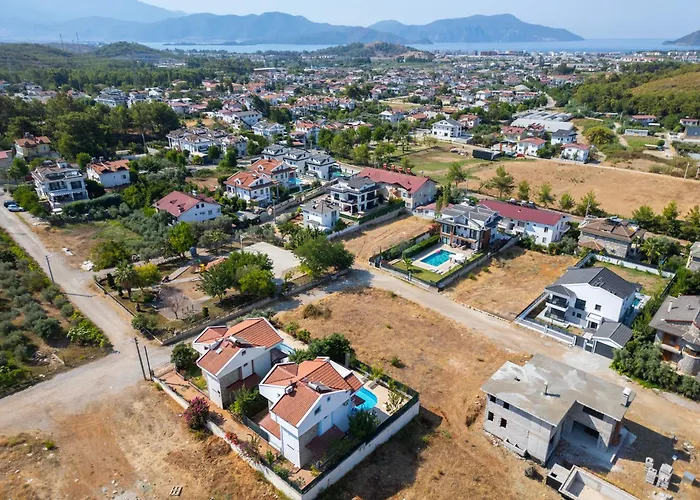 Talia Deniz Manzarali